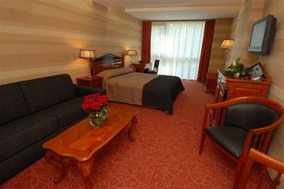 Luxus kétágyas szoba az 5* Divinus Hotelben Debrecenben - Divinus Hotel***** Debrecen - Akciós wellness hotel Debrecenben félpanzióval