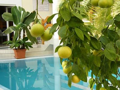 ✔️ Wellness csomagok a Hotel Kakaduban - ✔️Wellness Hotel Kakadu Keszthely*** ✔️ Kakadu Hotel Akció